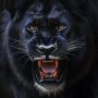 BlackLion